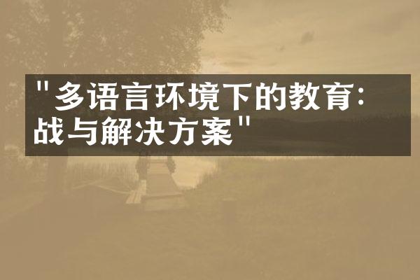 "多语言环境下的教育：挑战与解决方案"