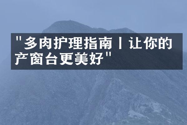 "多肉护理指南丨让你的房产窗台更美好"