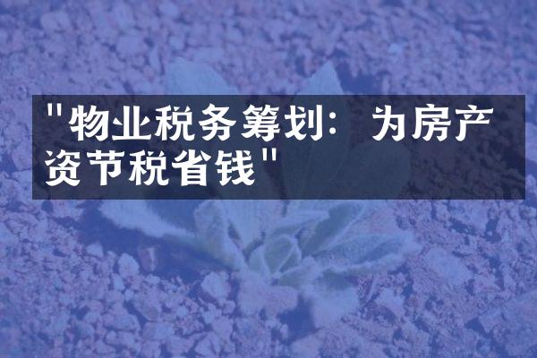 "物业税务筹划：为房产投资节税省钱"