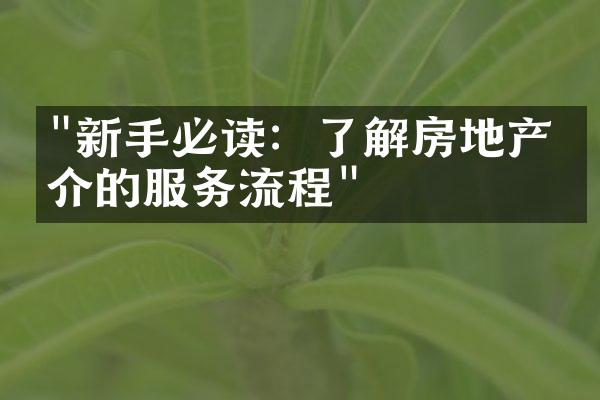 "新手必读：了解房地产中介的服务流程"