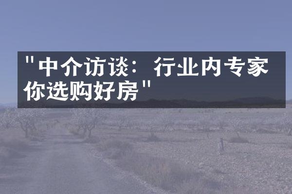 "中介访谈：行业内专家教你选购好房"