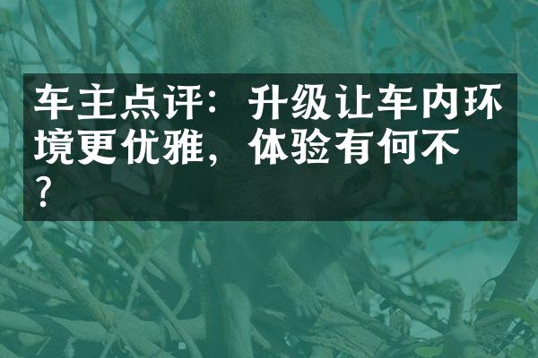 车主点评：升级让车内环境更优雅，体验有何不同？