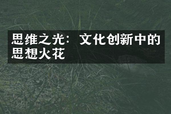 思维之光：文化创新中的思想火花