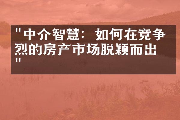 "中介智慧：如何在竞争激烈的房产市场脱颖而出？"