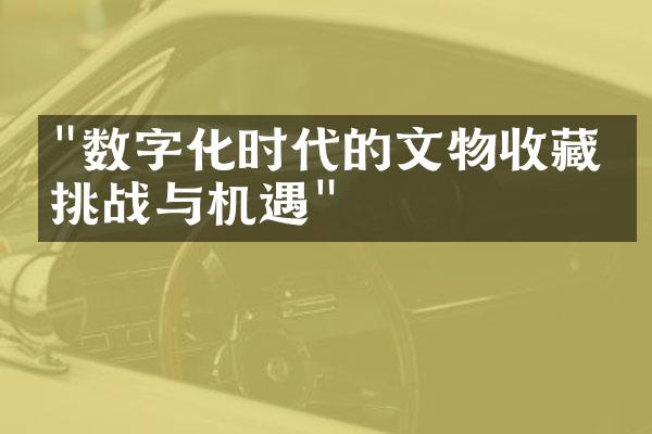 "数字化时代的文物收藏：挑战与机遇"