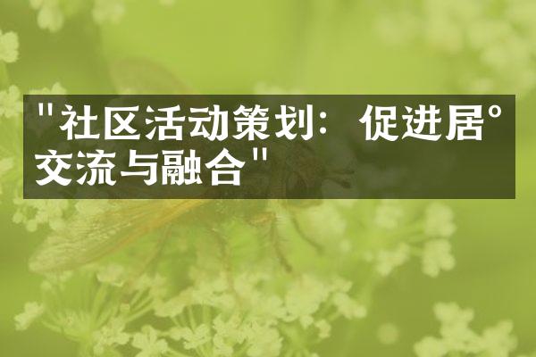 "社区活动策划：促进居民交流与融合"