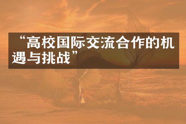 “高校国际交流合作的机遇与挑战”