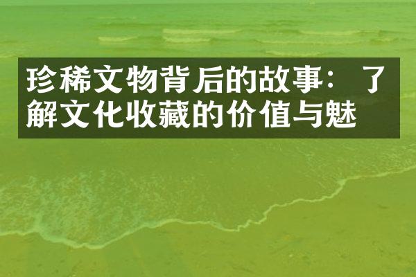 珍稀文物背后的故事：了解文化收藏的价值与魅力