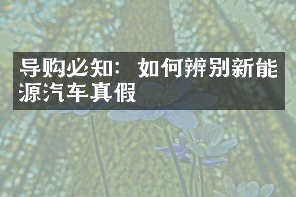 导购必知：如何辨别新能源汽车真假