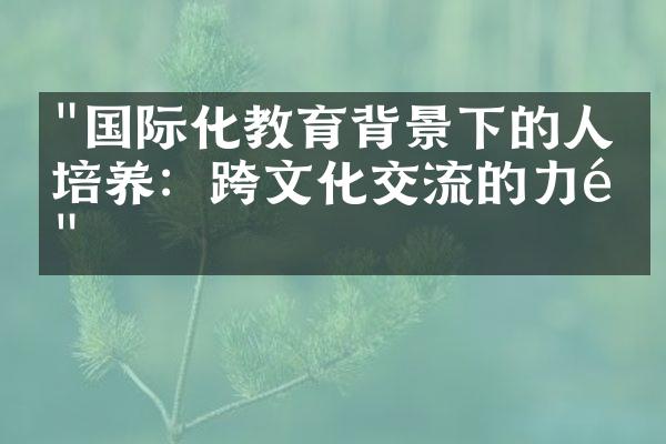 "国际化教育背景下的人才培养：跨文化交流的力量"