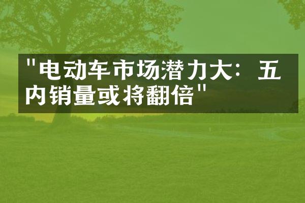 "电动车市场潜力大：五年内销量或将翻倍"