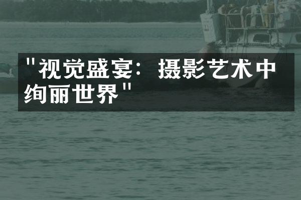 "视觉盛宴：摄影艺术中的绚丽世界"