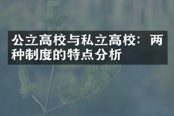 公立高校与私立高校：两种制度的特点分析