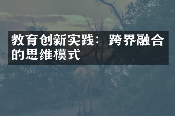 教育创新实践：跨界融合的思维模式