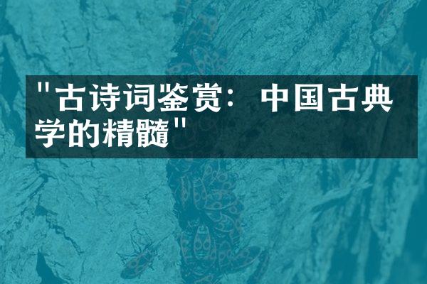 "古诗词鉴赏：中国古典文学的精髓"