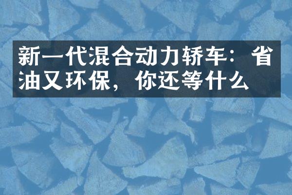 新一代混合动力轿车：油又环保，你还等什么？