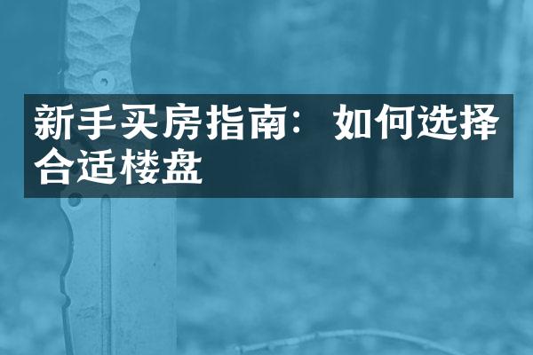 新手买房指南：如何选择合适楼盘