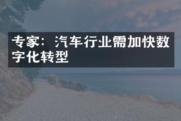 专家：汽车行业需加快数字化转型