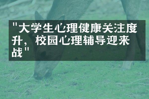 "大学生心理健康关注度提升，校园心理辅导迎来挑战"