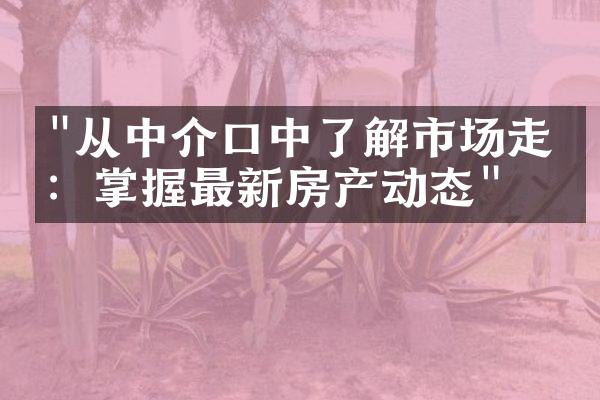 "从中介口中了解市场走向：掌握最新房产动态"