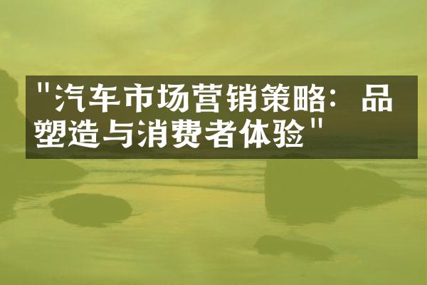 "汽车市场营销策略：品牌塑造与消费者体验"