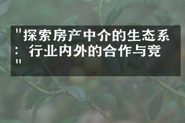 "探索房产中介的生态系统：行业内外的合作与竞争"