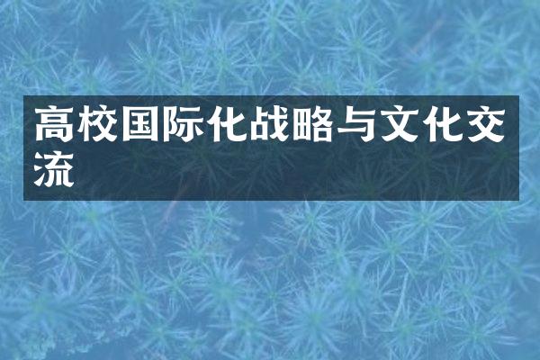 高校国际化战略与文化交流