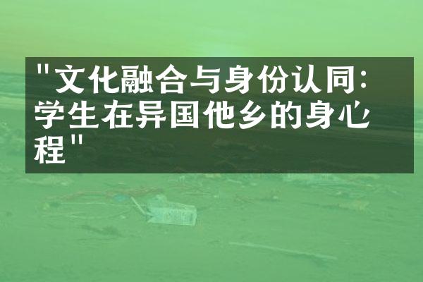 "文化融合与身份认同：留学生在异国他乡的身心历程"