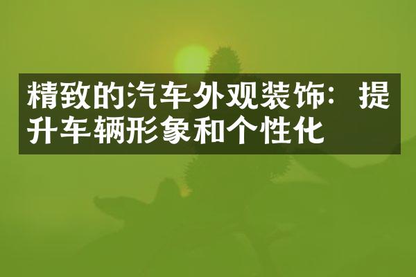 精致的汽车外观装饰：提升车辆形象和个性化