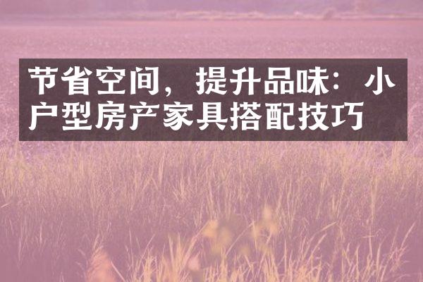 节省空间，提升品味：小户型房产家具搭配技巧！