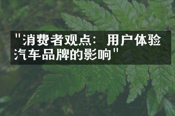 "消费者观点：用户体验对汽车品牌的影响"