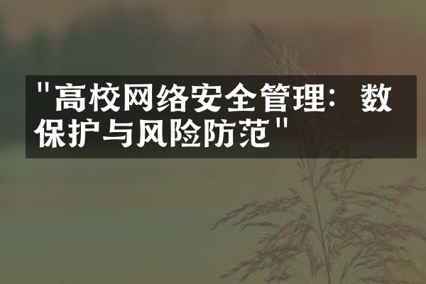 "高校网络安全管理：数据保护与风险防范"