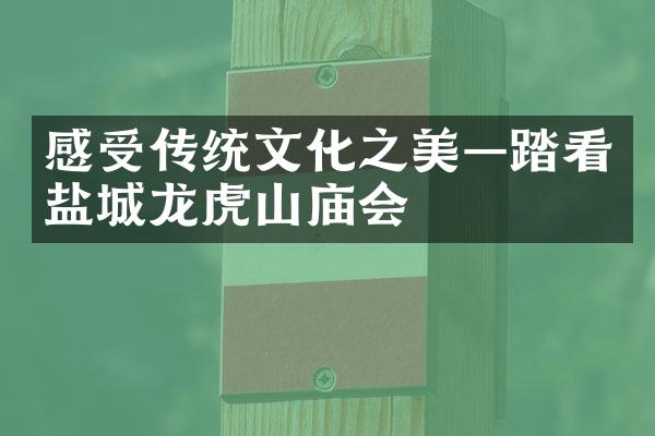 感受传统文化之美—踏看盐城龙虎山庙会