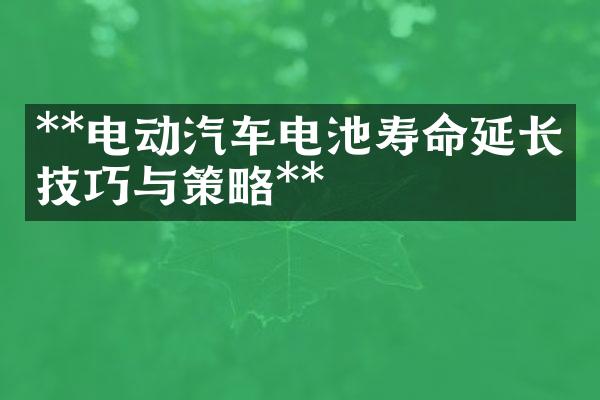 **电动汽车电池寿命延长的技巧与策略**