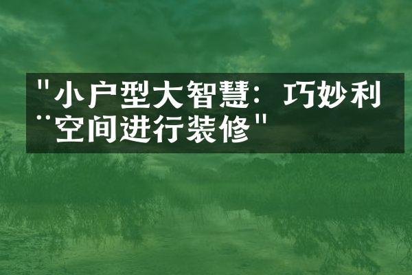 "小户型大智慧：巧妙利用空间进行装修"