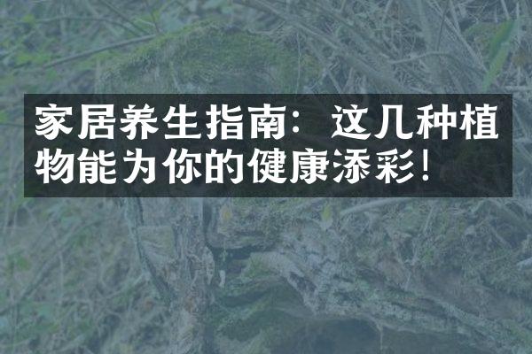 家居养生指南：这几种植物能为你的健康添彩！