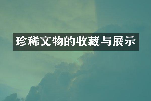 珍稀文物的收藏与展示