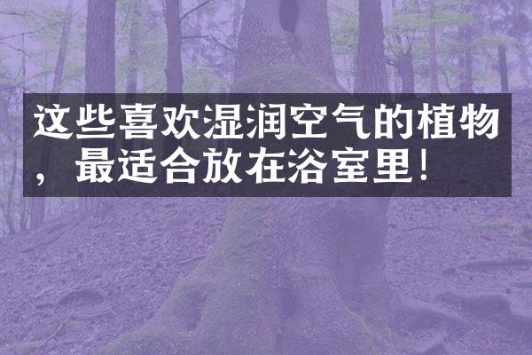 这些喜欢湿润空气的植物，最适合放在浴室里！