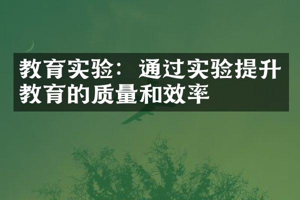 教育实验：通过实验提升教育的质量和效率