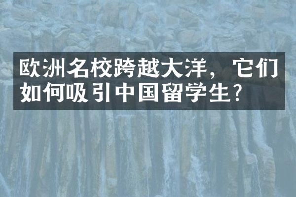 欧洲名校跨越洋，它们如何吸引留学生？