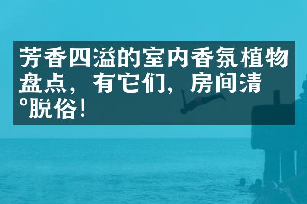 芳香四溢的室内香氛植物盘点，有它们，房间清新脱俗！