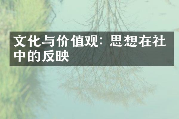 文化与价值观: 思想在社会中的反映