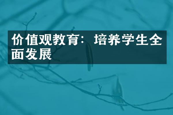 价值观教育：培养学生全面发展