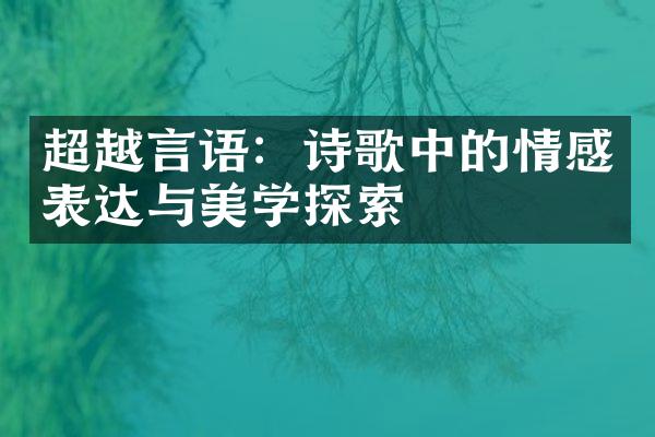 超越言语：诗歌中的情感表达与美学探索