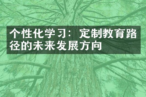 个性化学习：定制教育路径的未来发展方向