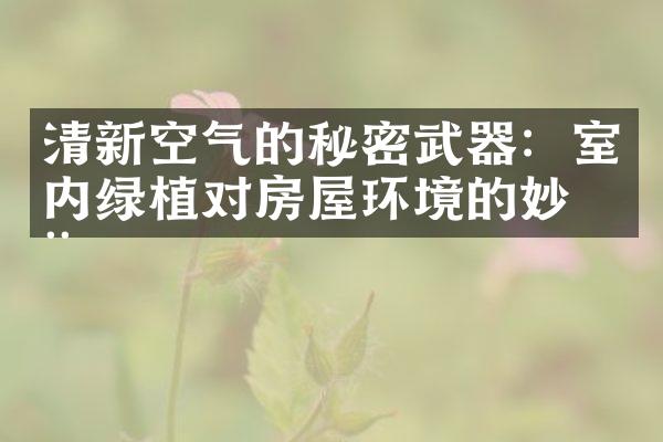 清新空气的秘密武器：室内绿植对房屋环境的妙用