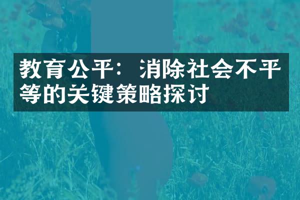 教育公平：消除社会不平等的关键策略探讨