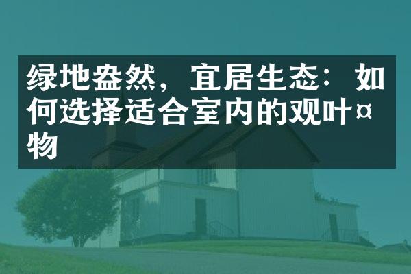 绿地盎然，宜居生态：如何选择适合室内的观叶植物