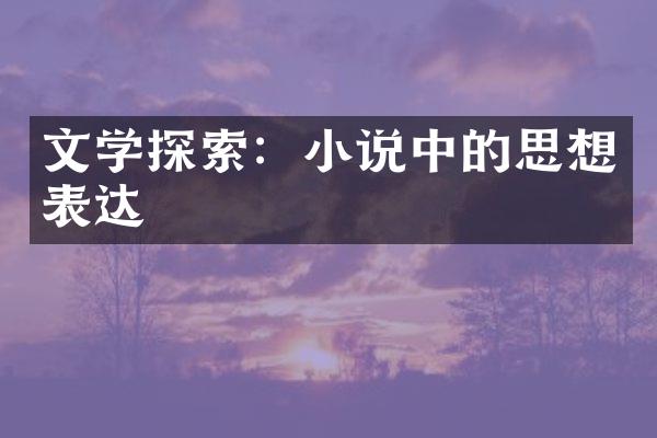 文学探索：小说中的思想表达