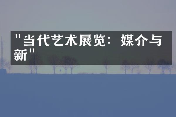 "当代艺术展览：媒介与创新"